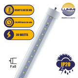Lámpara tubo T8 LED 36W Slim, Paq 5pzs (T8SMD240CFA8/LD)