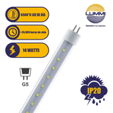 Lámpara LED T5 acrílico Paq 5pzs (T5SMD14/LD)