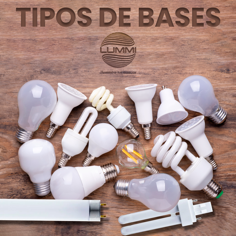 TIPOS DE BASES