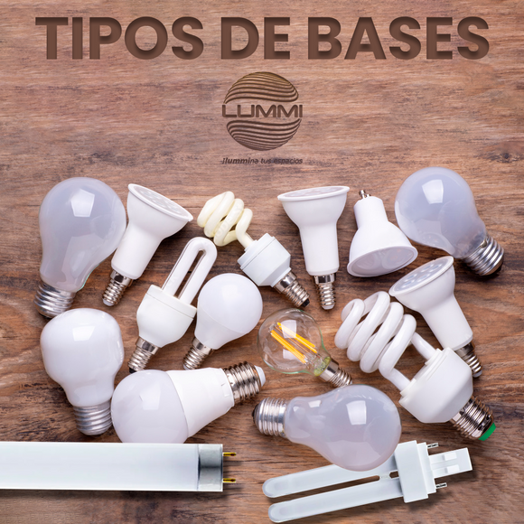 TIPOS DE BASES