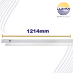 TUBO FLUORESCENTE 32W T8. LUZ DE DÍA Paq 5pzs (FL32/64)