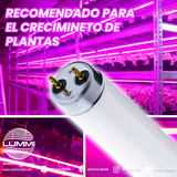 Tubo fluorescente Grolux T8 p/Acuario Paq 5pzs (FL15AQ)