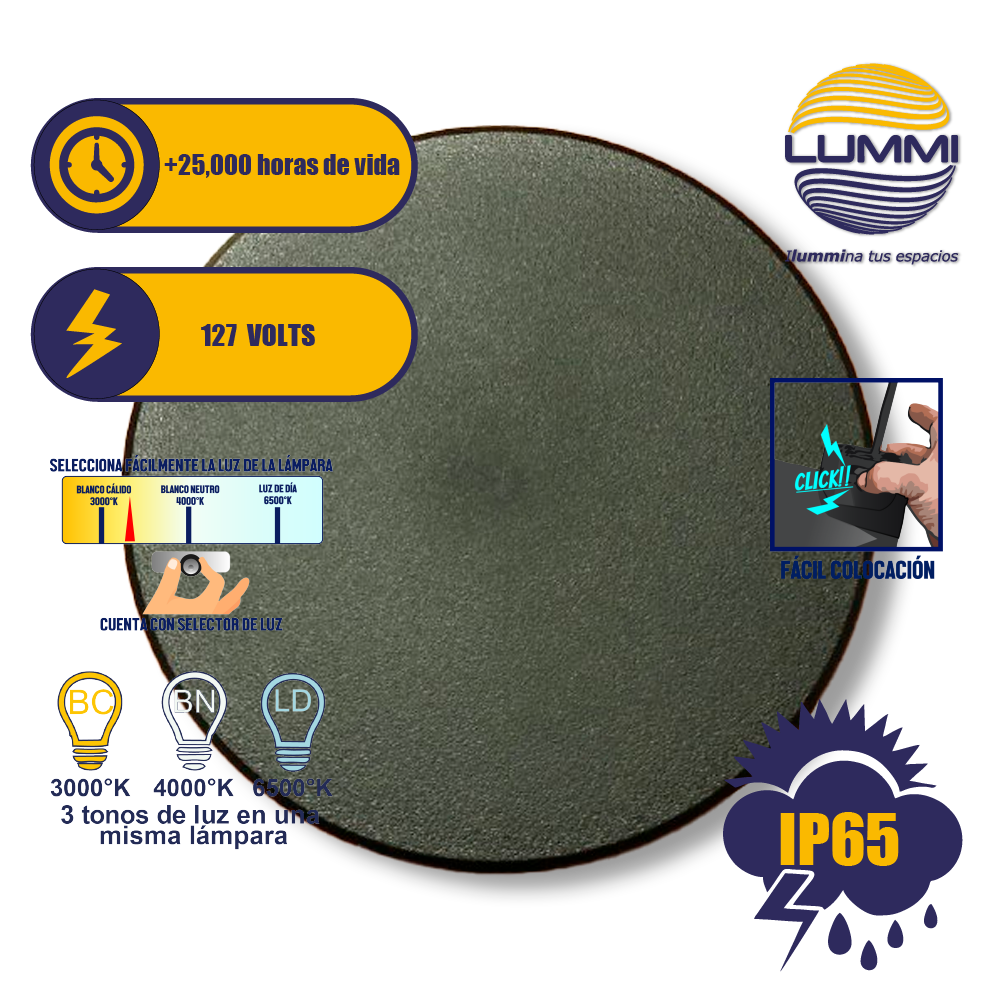 Luminario LED circular de pared de 12W (1220)