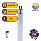 TUBO FLUORESCENTE LUZ DE DIA 20W T8 Paq 5pzs (FL20DT8)