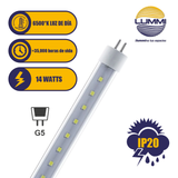 Lámpara LED T5 acrílico (T5SMD14/LD)