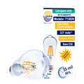 FOCO Vintage T/PERA FILAMENTO LEDS 8W ( ST64FILED8/BC )