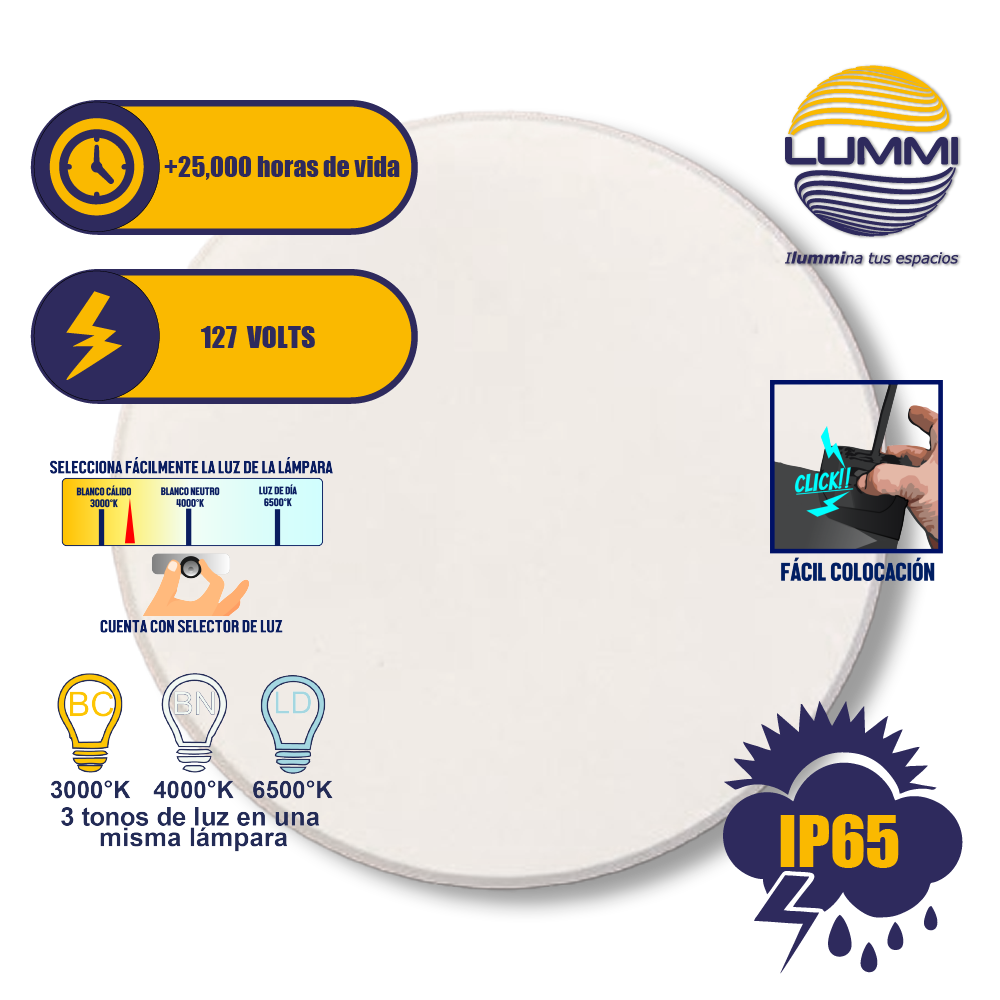 Luminario LED circular de pared de 12W (1225)