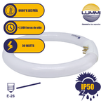 Tubo circular T5 16W G10q (FCL16/41)
