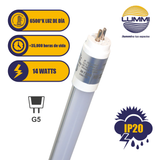 Luminaria LED 14W de acrílico opalino (T5SMD14OP/LD) 5pzs