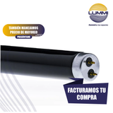 Tubo Luz negra con filtro (FL15BLB)