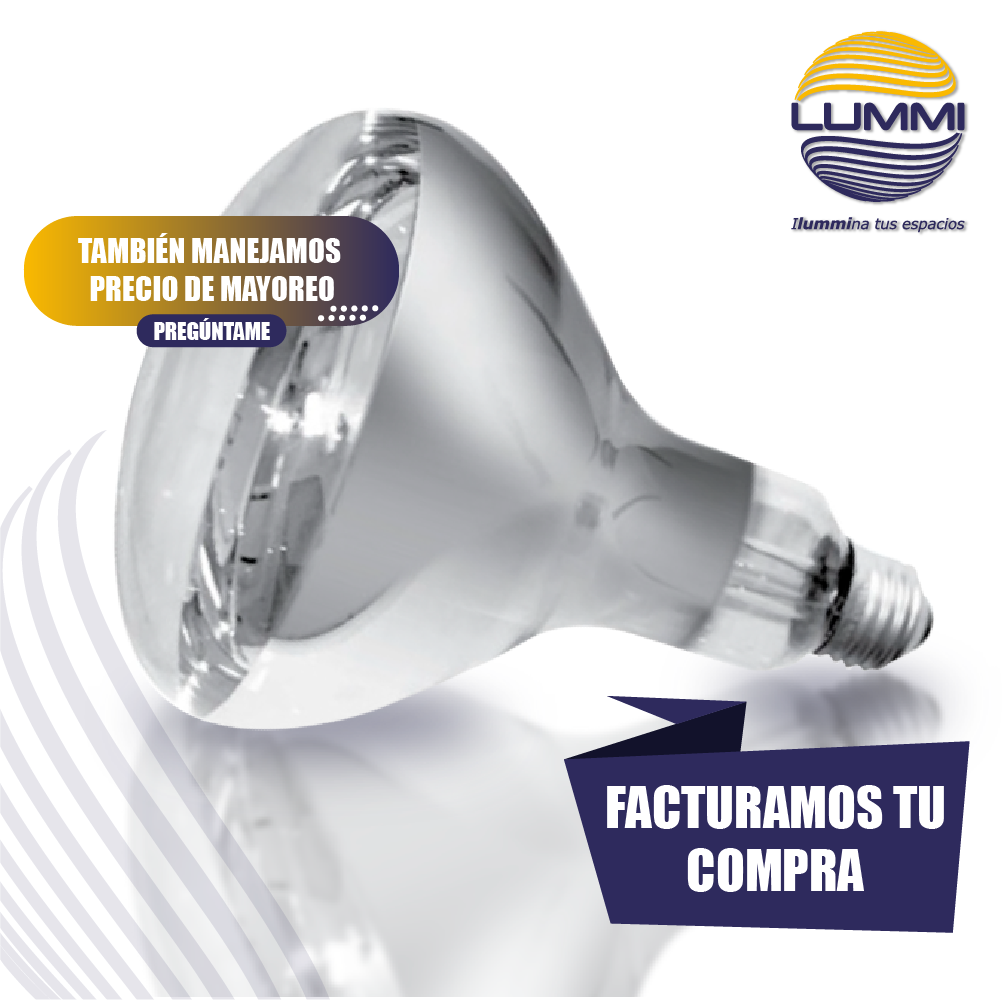 Foco incandescente para conservar alimentos calientes (BR40/CL)