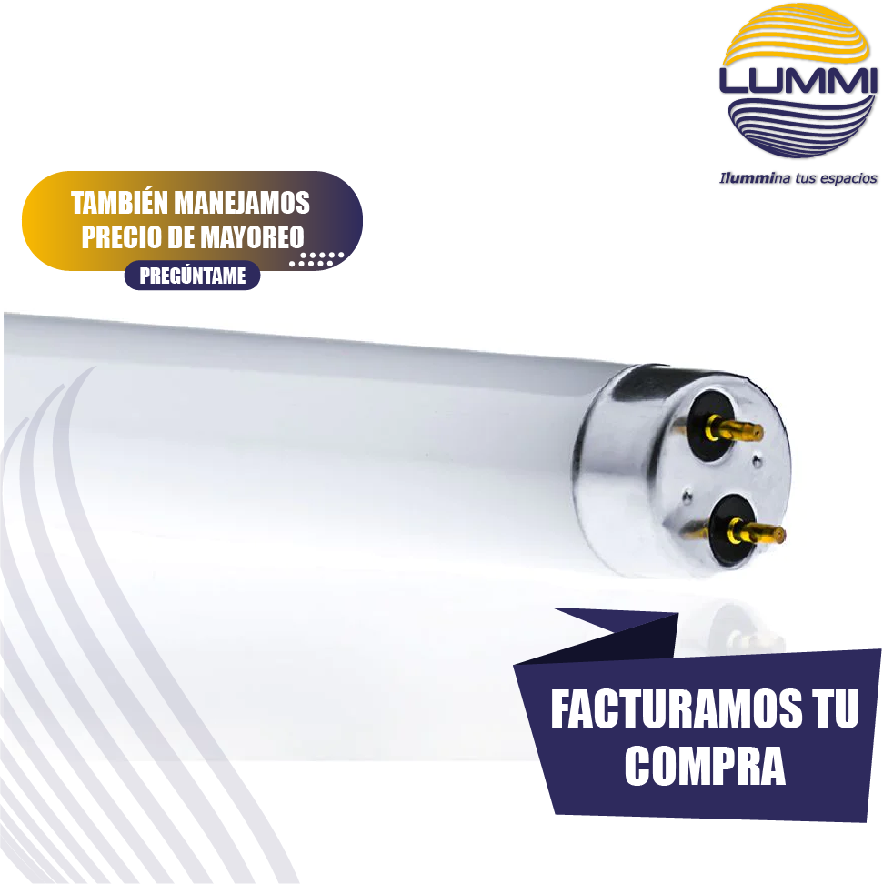 TUBO FLUORESCENTE LUZ DE DIA 15W T8 Paq 5pzs (FL15D)
