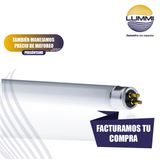Tubo fluorescente T5 Paq 5 pzs (FL8D)