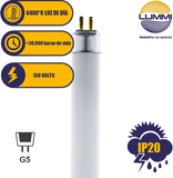 Tubo fluorescente T5 531mm Paq 5 pzs (FL13D)