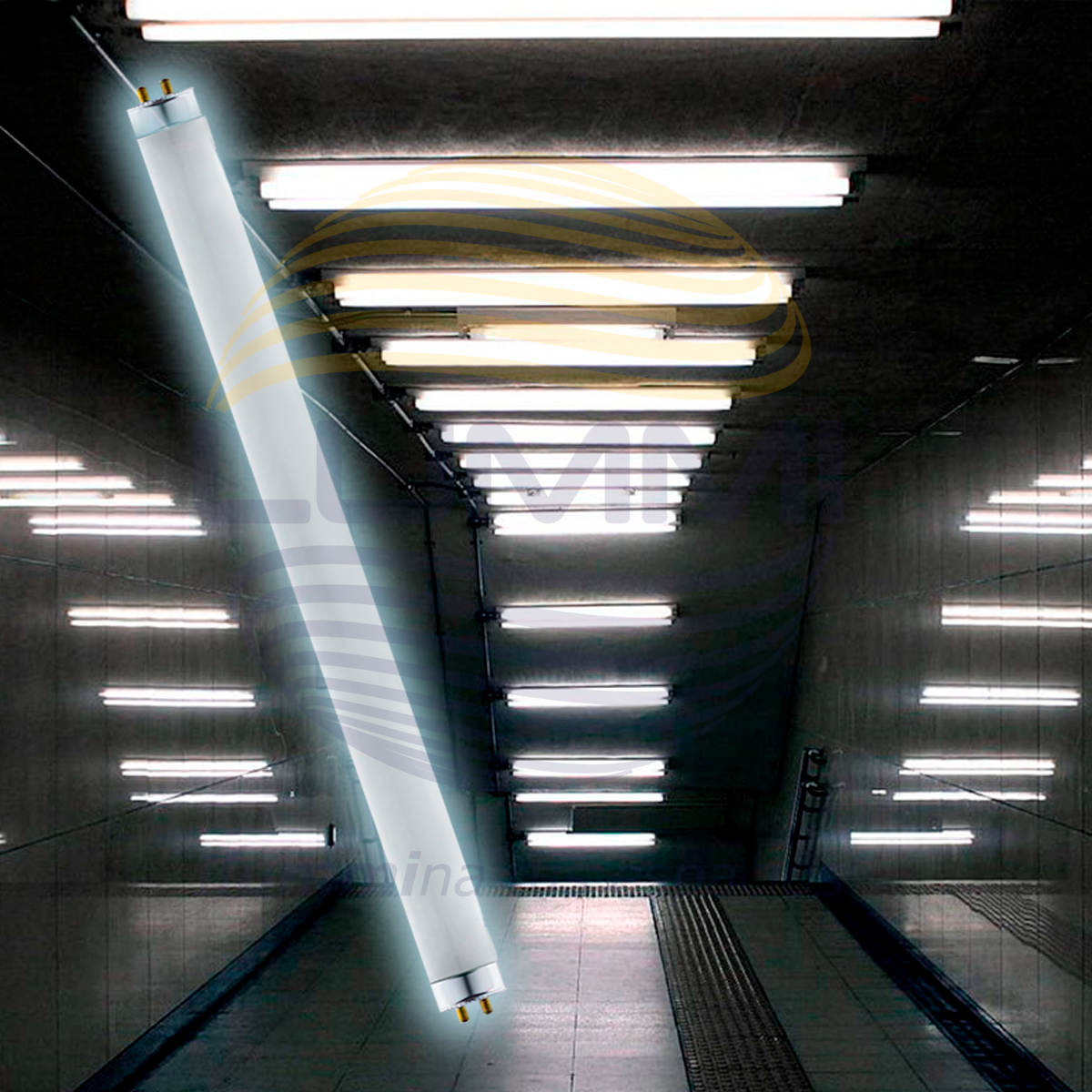 Tubo fluorescente T5 14W Paq 5pzs (FL14DT5)