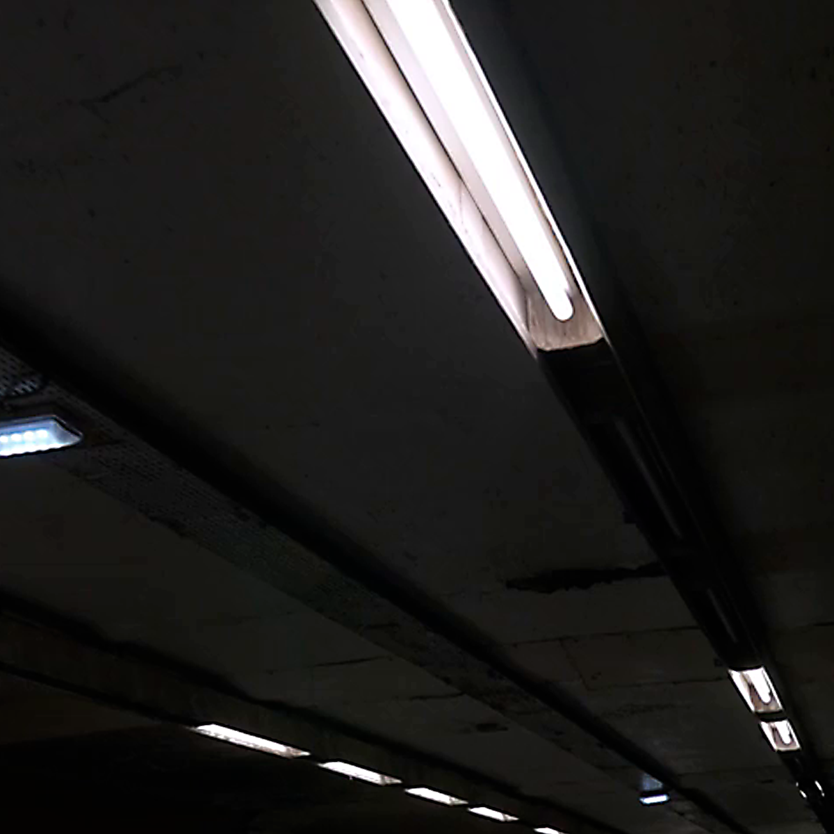 Tubo fluorescente T5 Paq 5 pzs (FL8D)