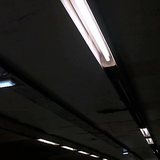 Tubo fluorescente T5 Paq 5 pzs (FL8D)