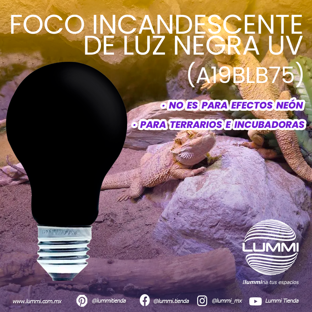 Foco Incandescente 75W de luz negra UV (A19BLB75) – Lummi