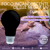 Foco  Incandescente 75W de luz negra UV (A19BLB75)