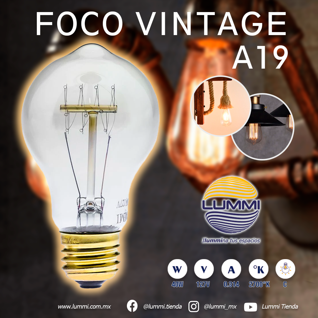 Foco Vintage (A19) – Lummi