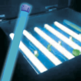 Tubo fluorescente T5 LUZ NEGRA sin Filtro Paq 5pzs (FL8BL)