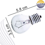 Foco bola 40W (S11C)