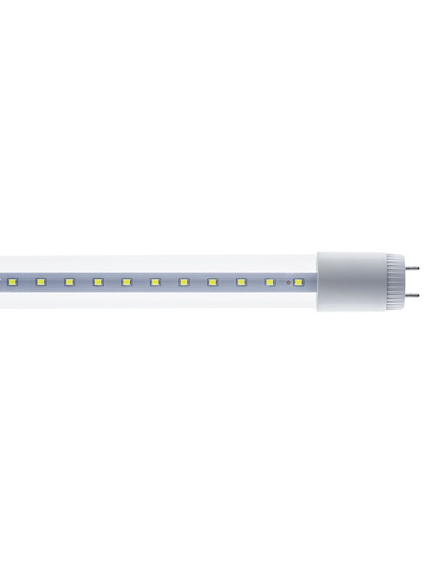 Lámpara T8 LED Paq 5pzs (T8SMD60CC/LD)