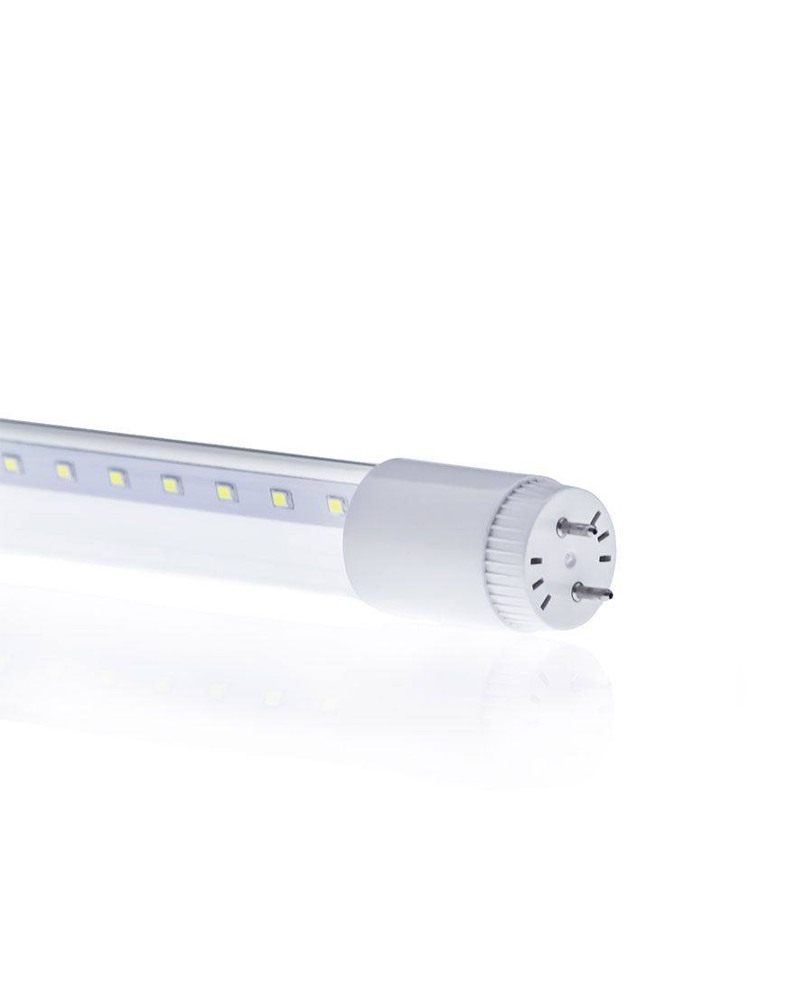 Lámpara T8 LED Paq 5pzs (T8SMD60CC/LD)